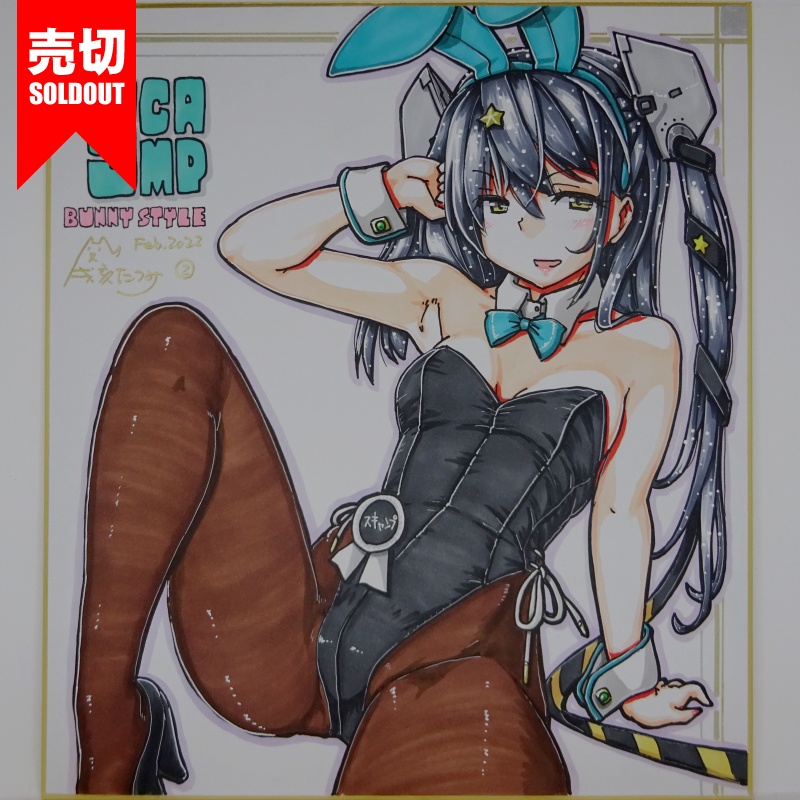 色紙 スキャンプバニー FB22(1)~(9)