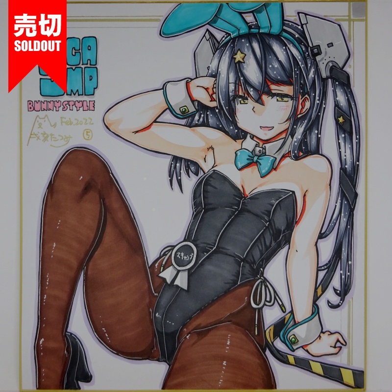 色紙 スキャンプバニー FB22(1)~(9)