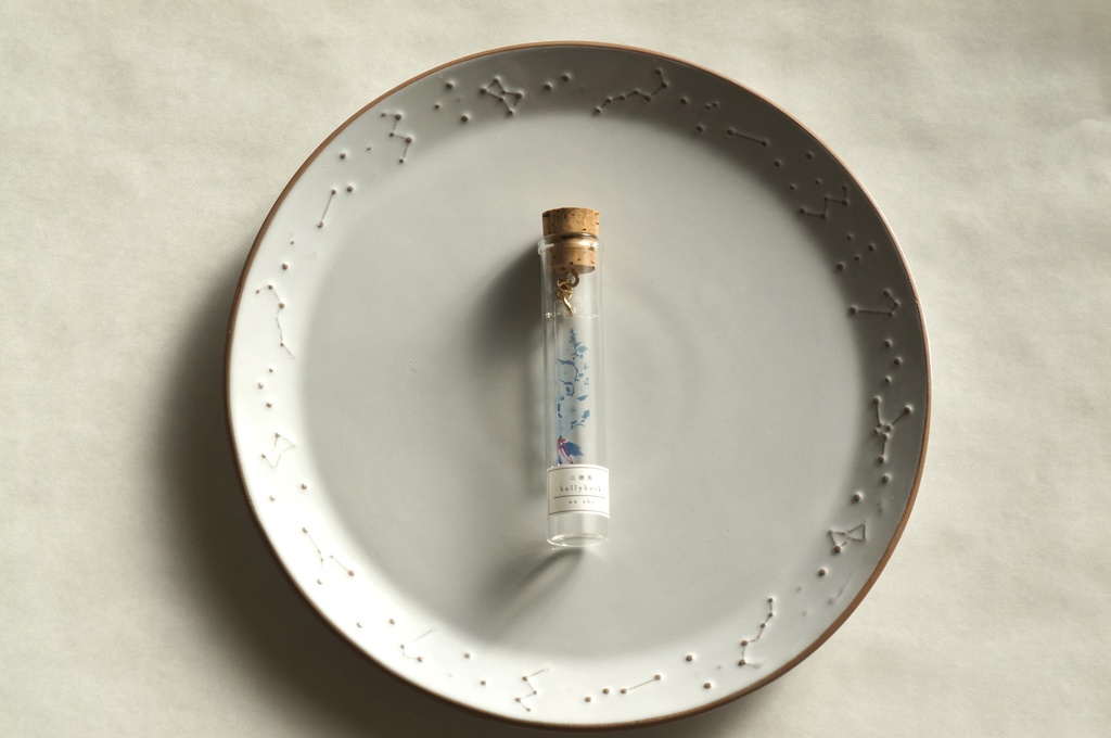 彼女と彼の標本瓶