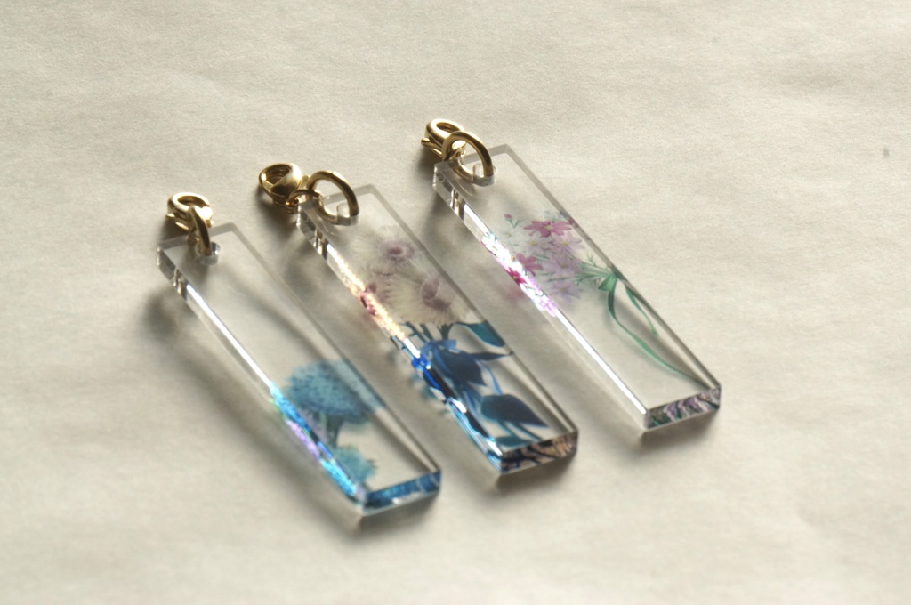 彼女と彼の標本瓶