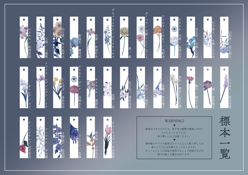 彼女と彼の標本瓶