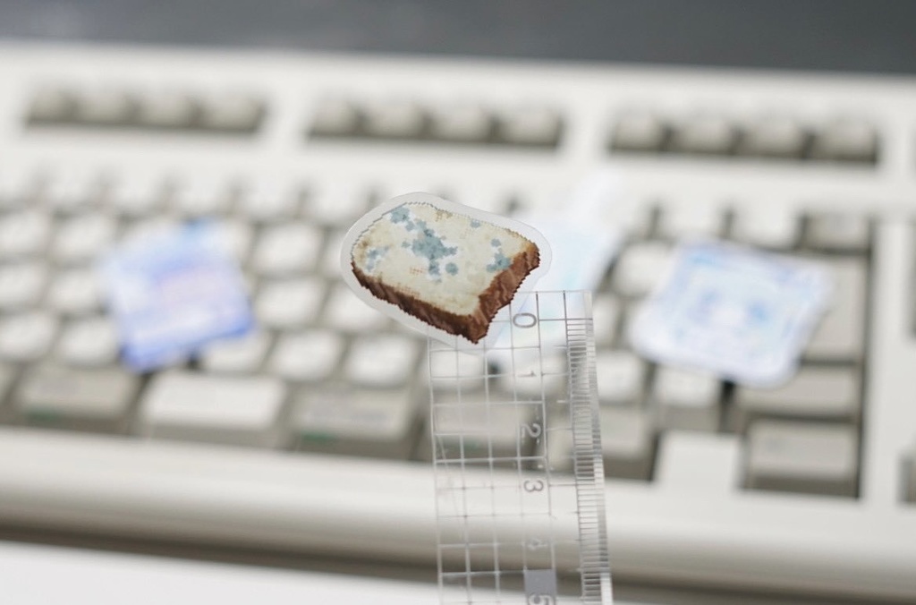 ๐๐จ๐ฆ๐ง ๐ฅ๐ข๐ข๐  ในใใใซใผใปใใ