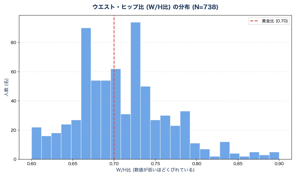 「動的グラフ付き」リアル女性1000名超のスリーサイズ&体型統計データセット(Excel / CSV形式)