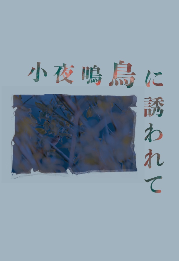 小夜鳴鳥に誘われて〈匿名発送〉