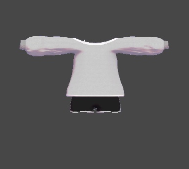 ミルティナ・伊奈波かや対応 ドルフィンパンツ衣装