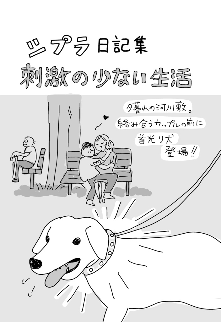 シプラ日記集　刺激の少ない生活