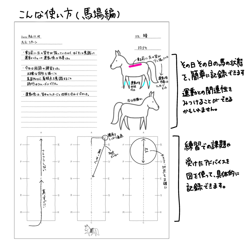 Training Note Dressage