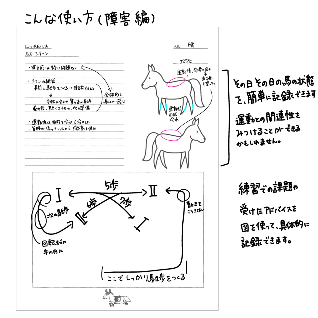 Training Note Show Jumping