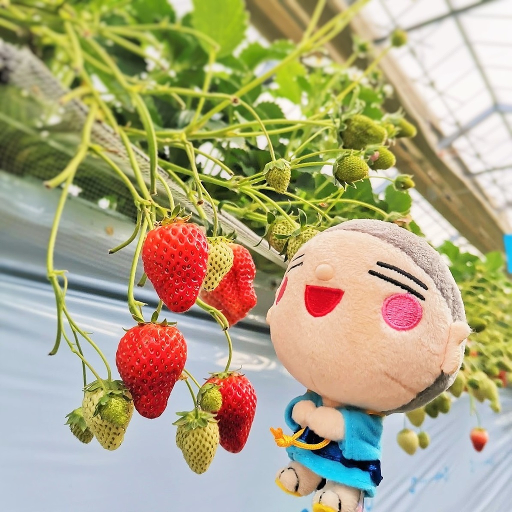 すまいる四郎 マスコット