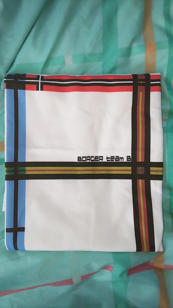 【特装版】チームB本『BORDERLESS TOURS』