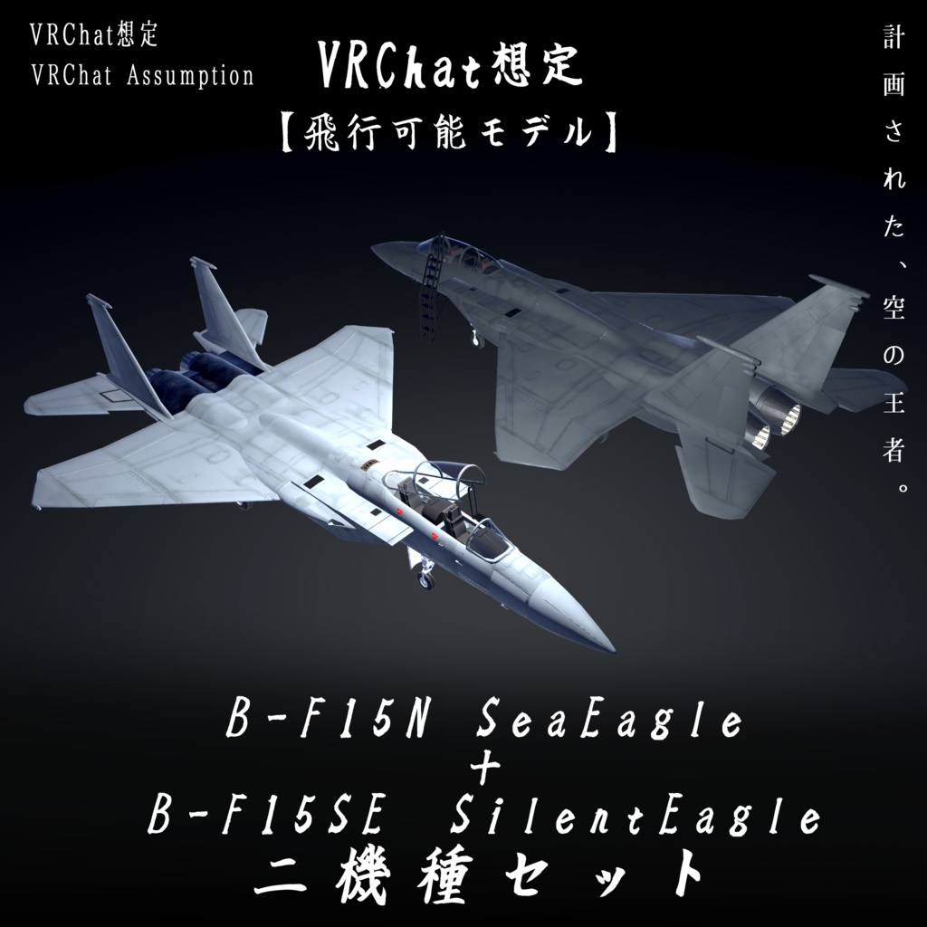 《VRChat想定》B-F15N＋B-F15SE　二機種セット！《飛行可能モデル》