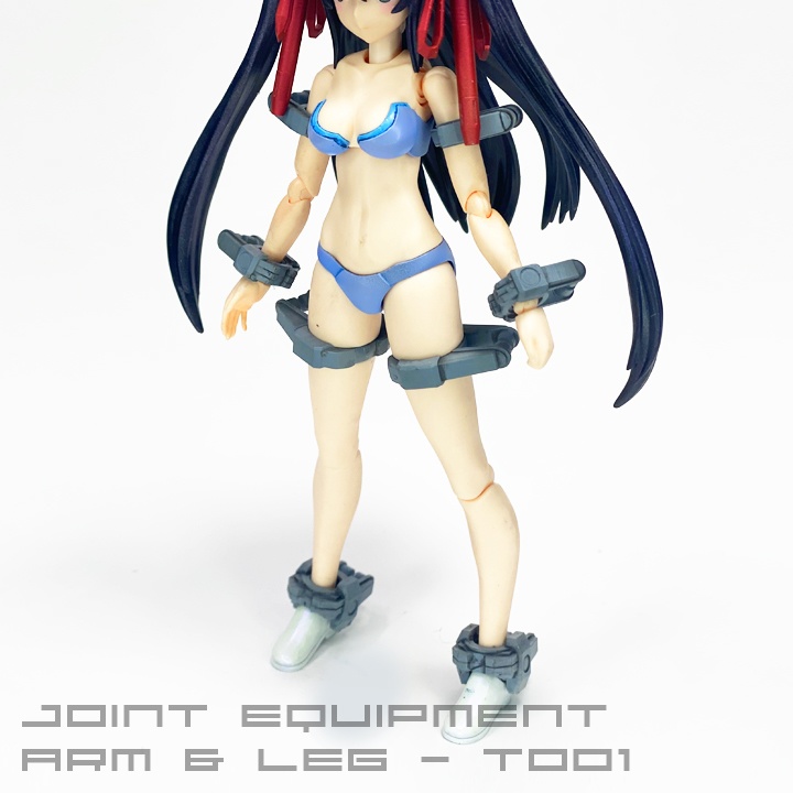 JOINT EQUIPMENT / ARM & LEG - T001