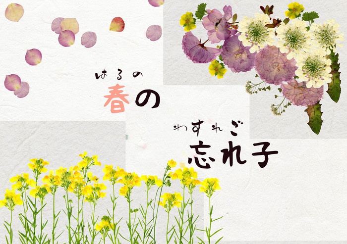 七十二候 ~花暦の章~