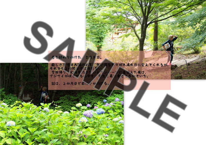 七十二候 ~花暦の章~