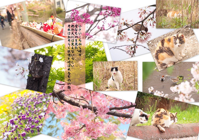 七十二候 ~花暦の章~