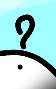 ミラー ナンダコ