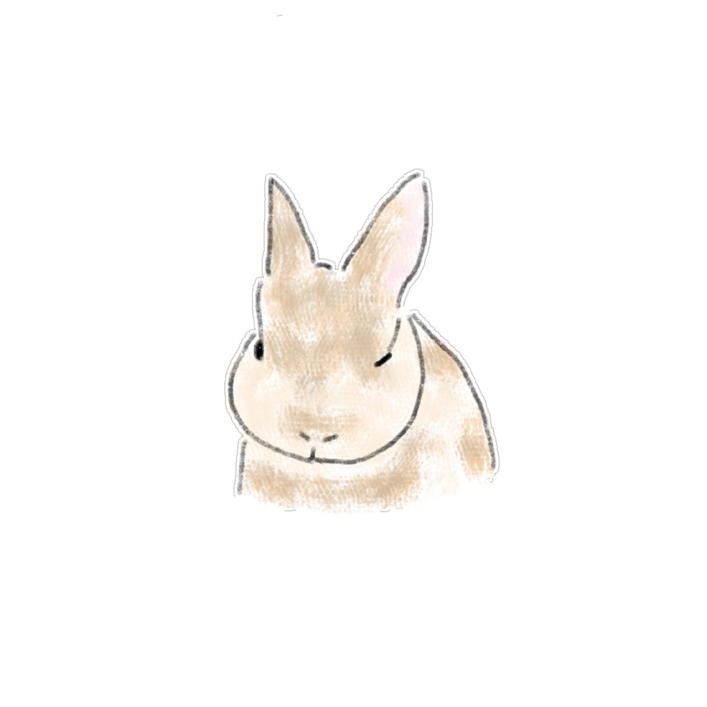 【PNG素材】ほっこり可愛いうさぎのイラスト12種セット【デジタルステッカー/Web用】