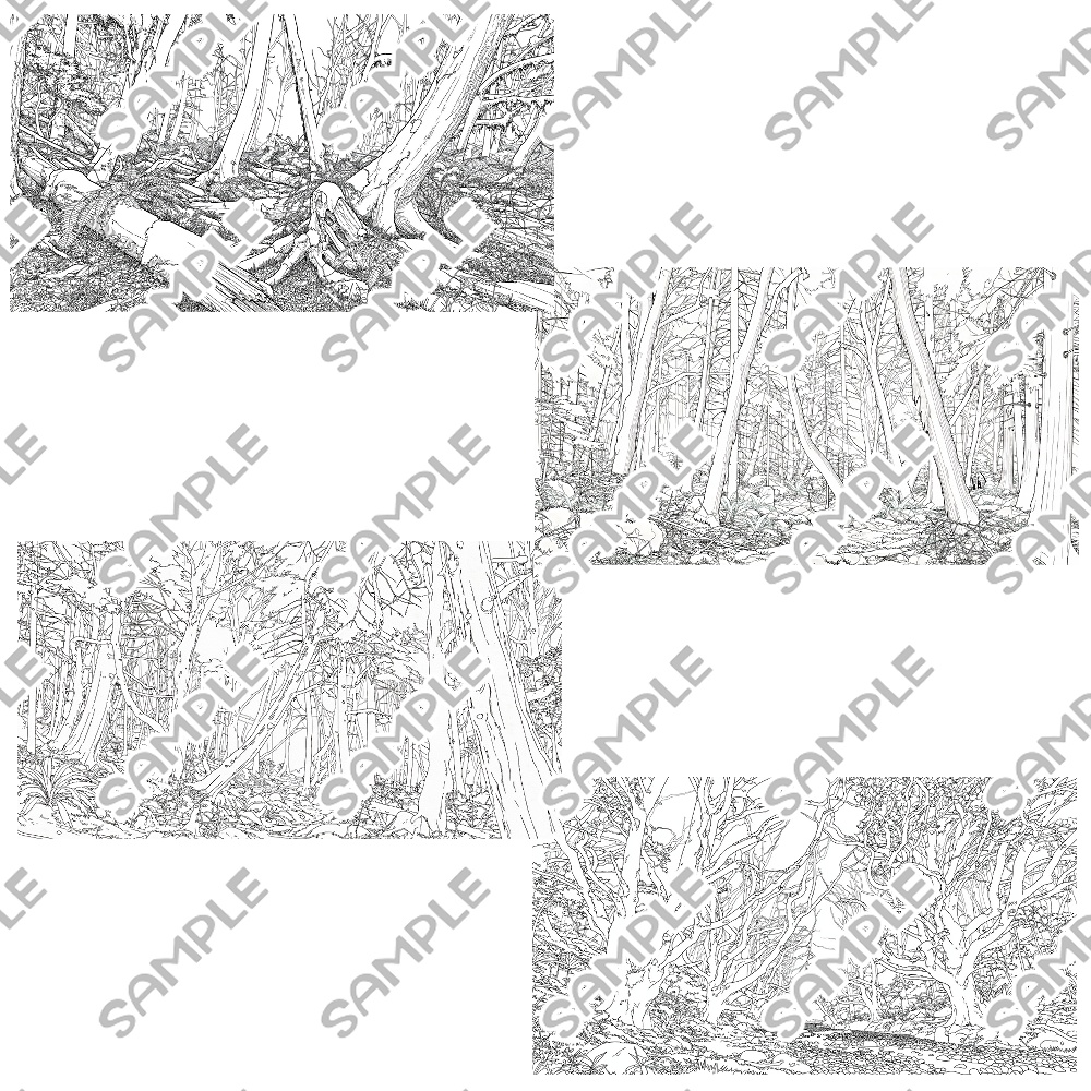 【フリー素材】樹海のイラスト素材【カラー/モノクロ】