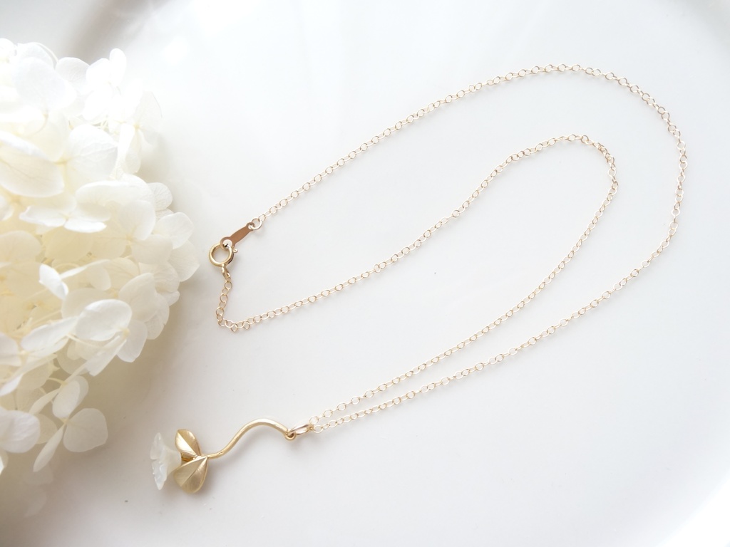 白蝶貝&K14gf - Lily day