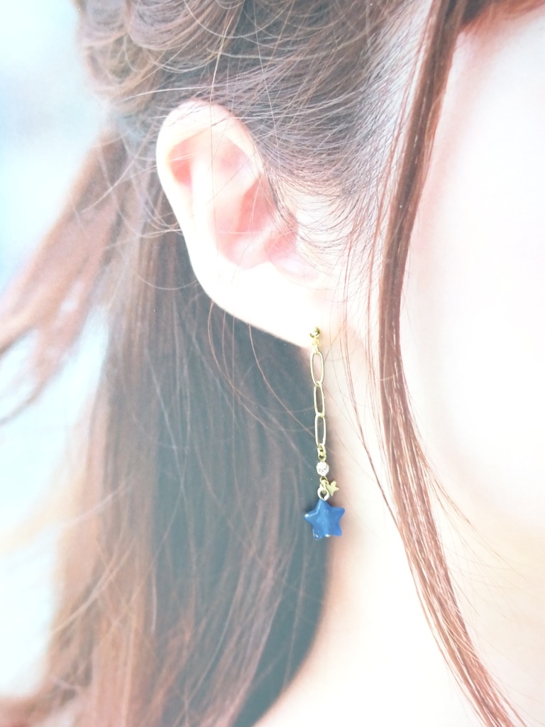 ブルースターのピアス(イヤリングOK)