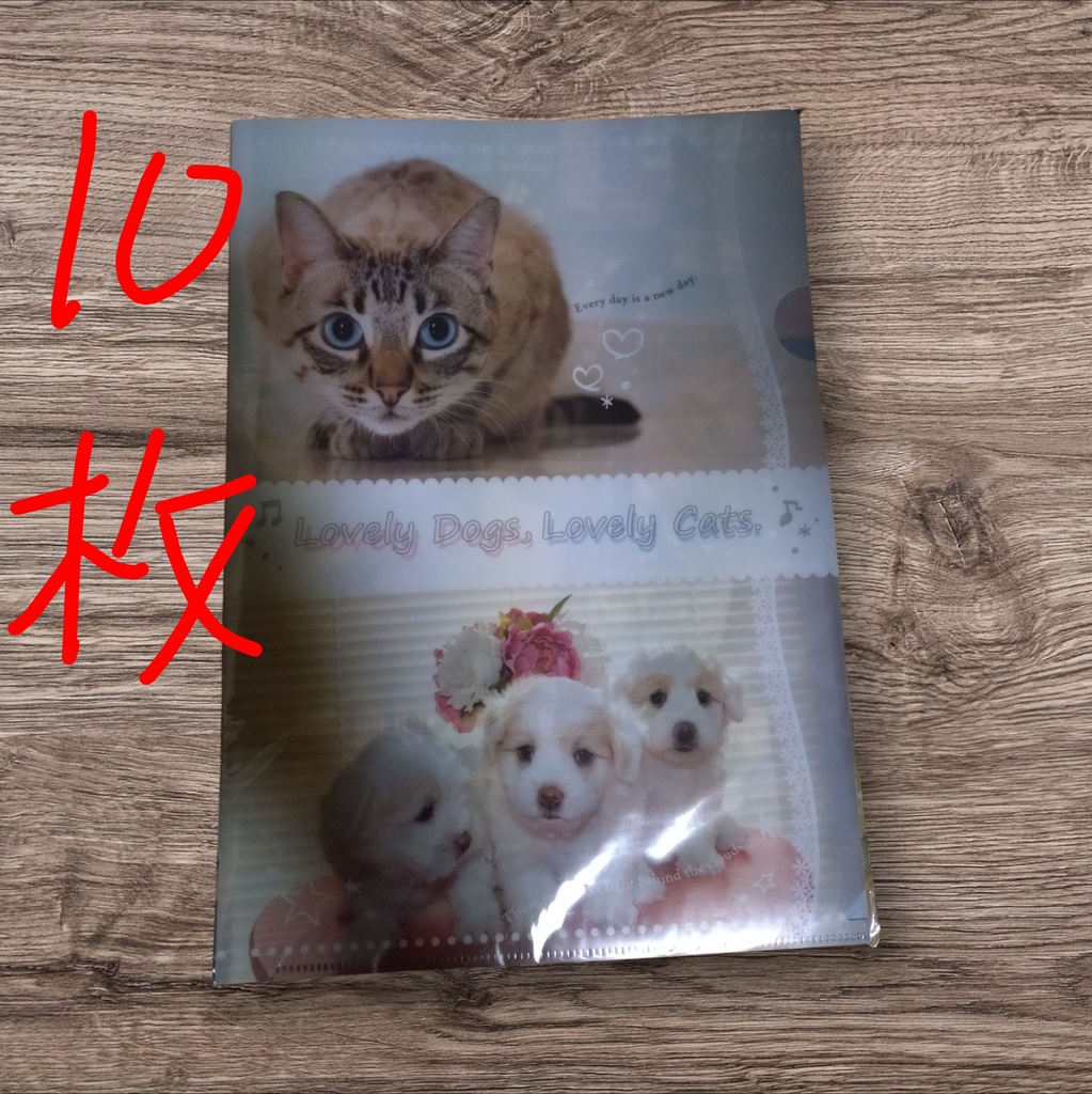 犬ネコのクリアファイル１０枚