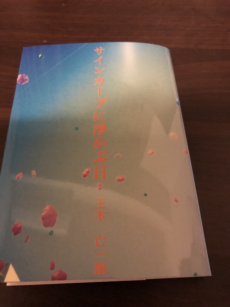 サインカーブに浮かぶ日