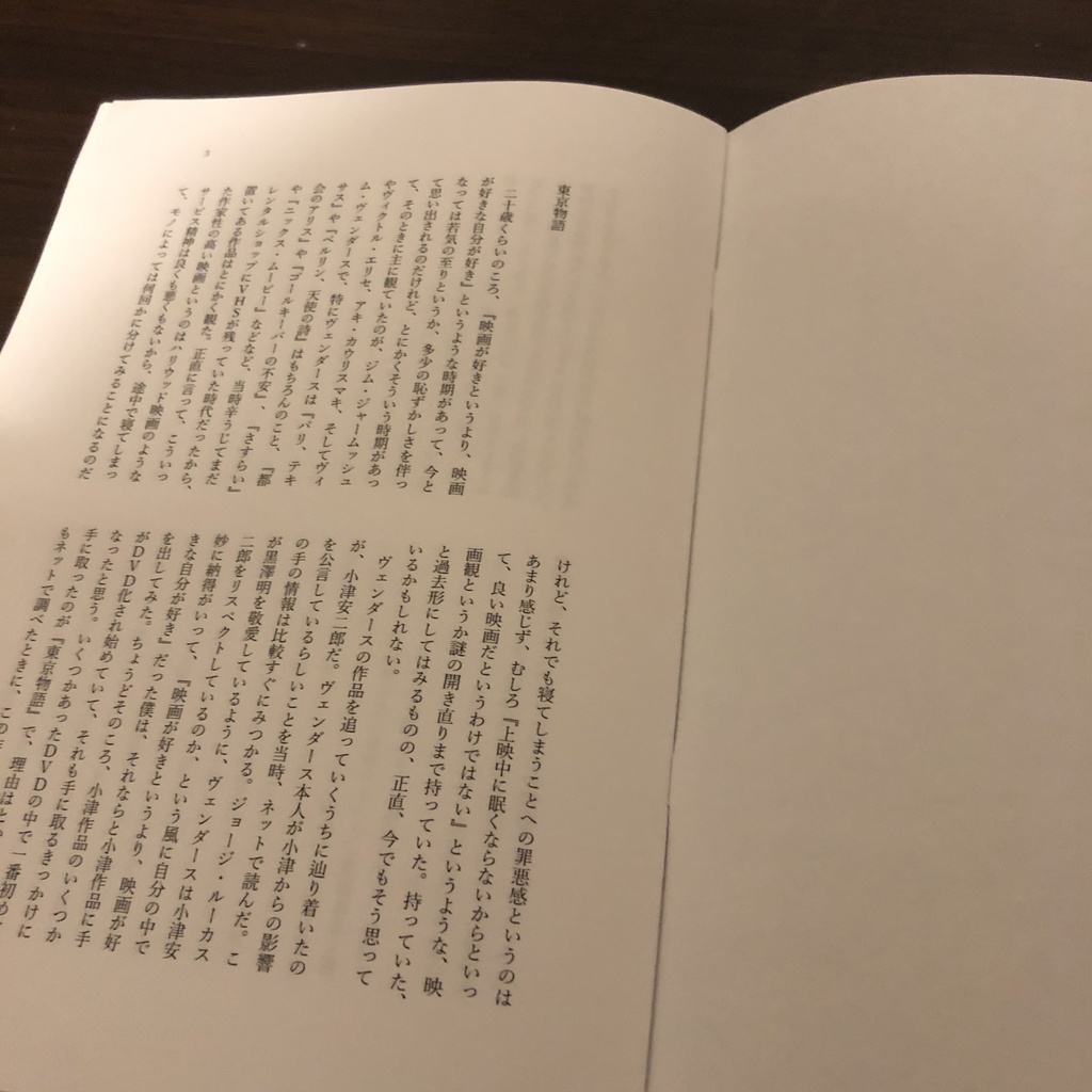 サインカーブに浮かぶ日