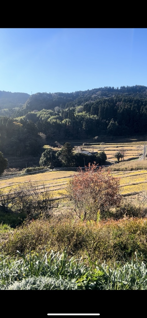 何も起きない田舎の5秒