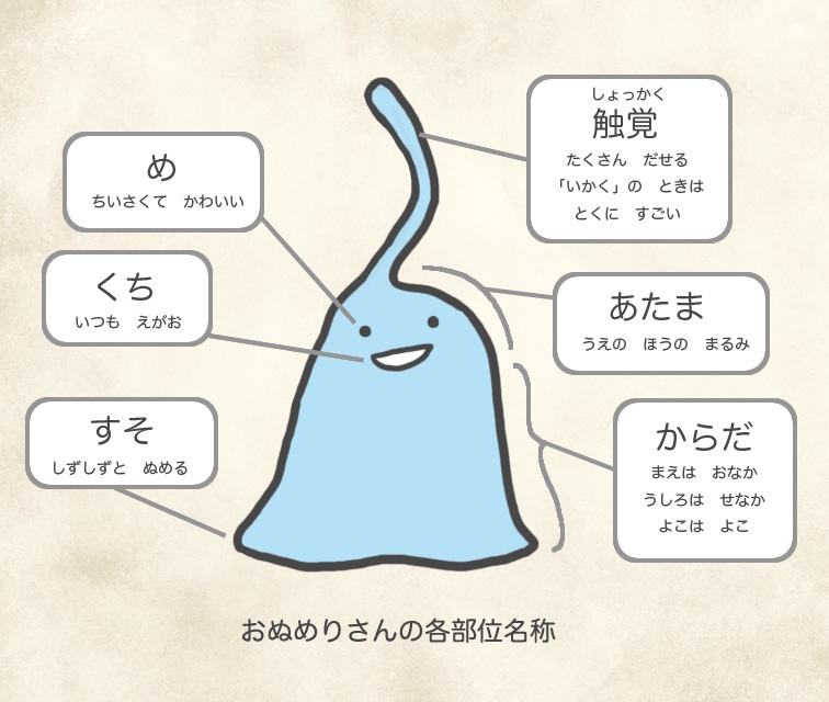 そらめりさんの幼生◇