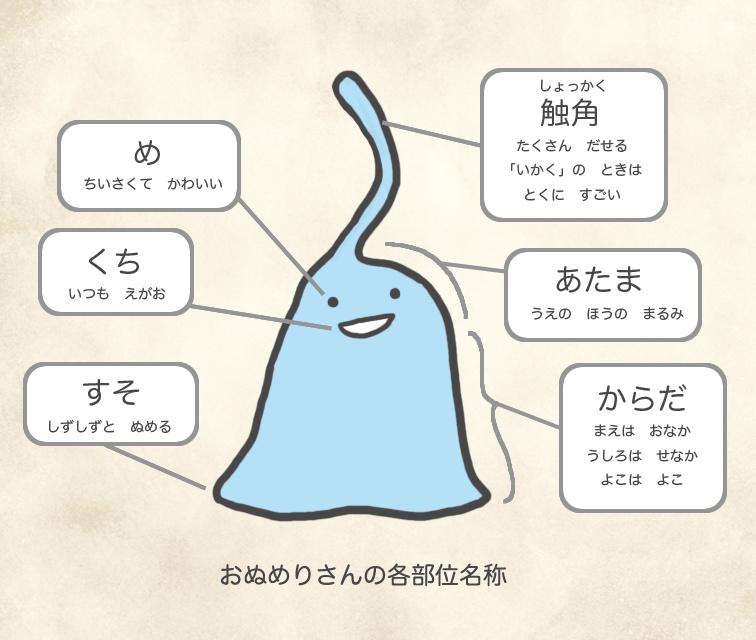 あさぎめりさん◆