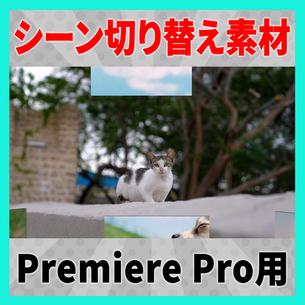 集まって弾ける正方形のトランジション【MOGRT】