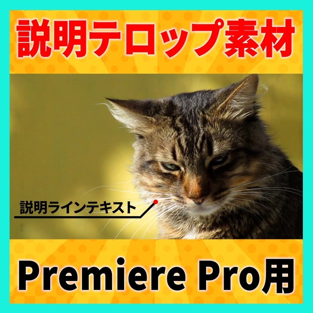 【お得】人気商品15品セット【テンプレート】