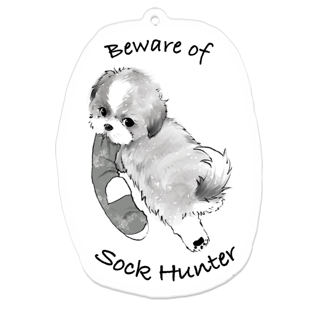 くつしたどろぼう