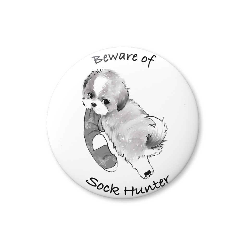 くつしたどろぼう