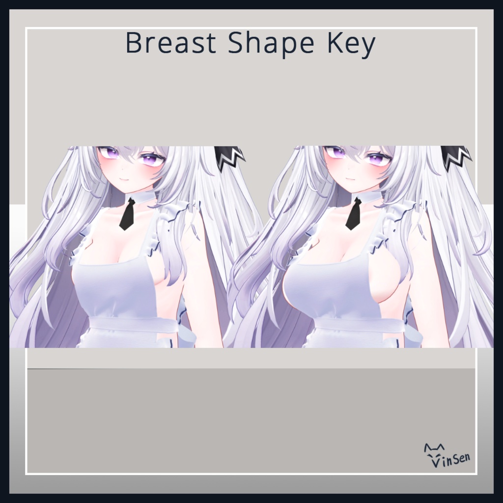 Secret Service for Airi 愛莉