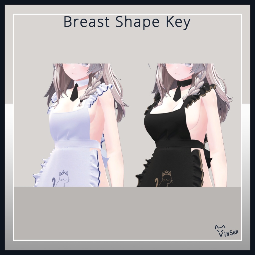 Secret Service for Shinano しなの