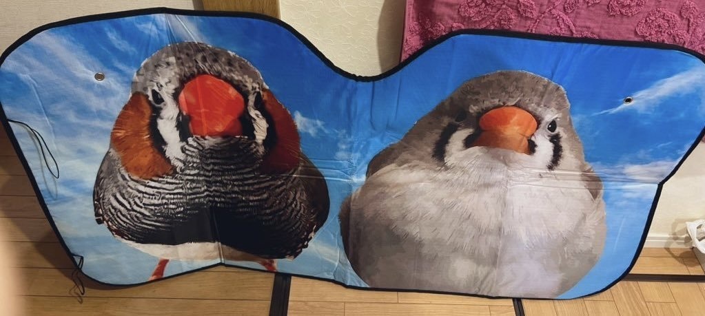 キンカ―サンシェード