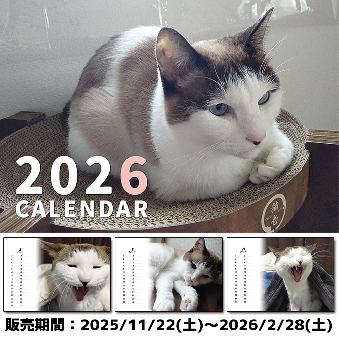 【数量限定】変顔とぐにゃん卓上カレンダー2026＆ステッカーセット