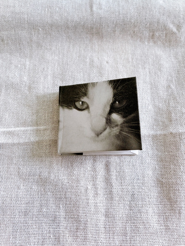 手作り豆本￤写真集「すみちゃん」