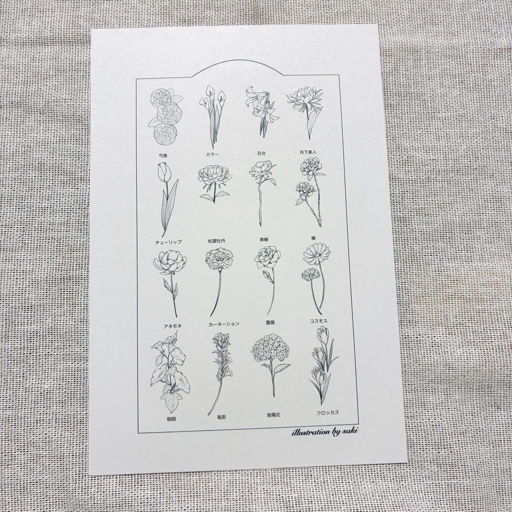 線の花￤ポストカード