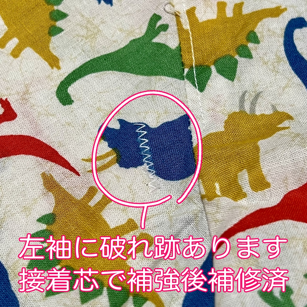 【B01】恐竜!恐竜!恐竜!