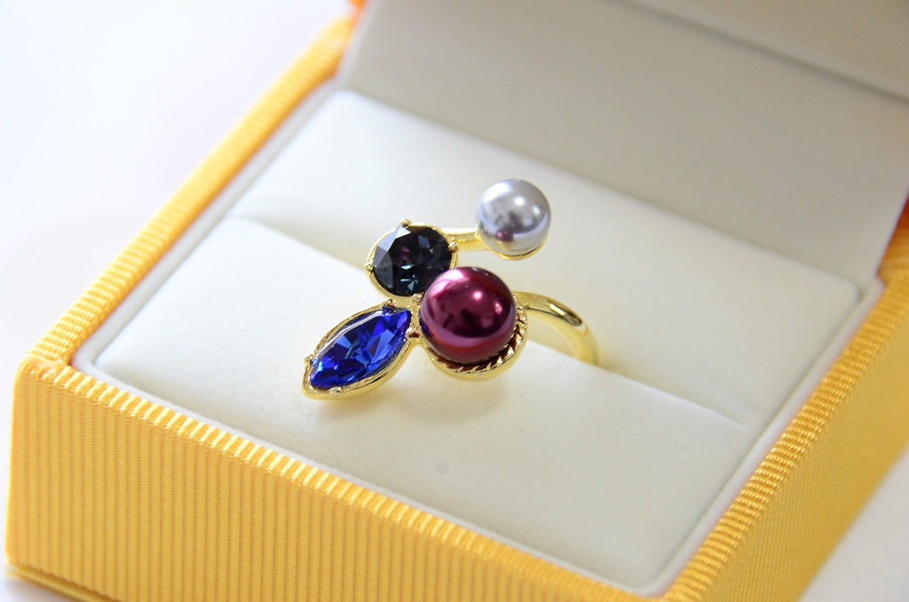 愛抱夢と忠イメージリング