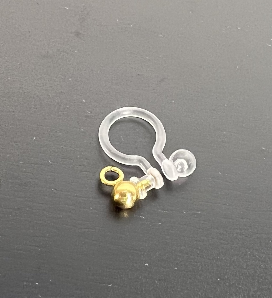 魔法使いの約束《賢者様》イメージピアス(イヤリング可)