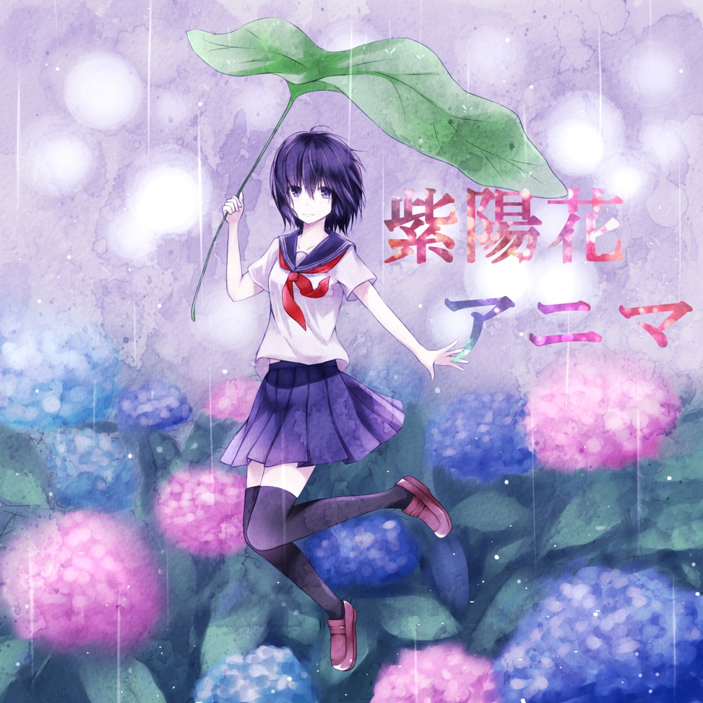 紫陽花アニマ