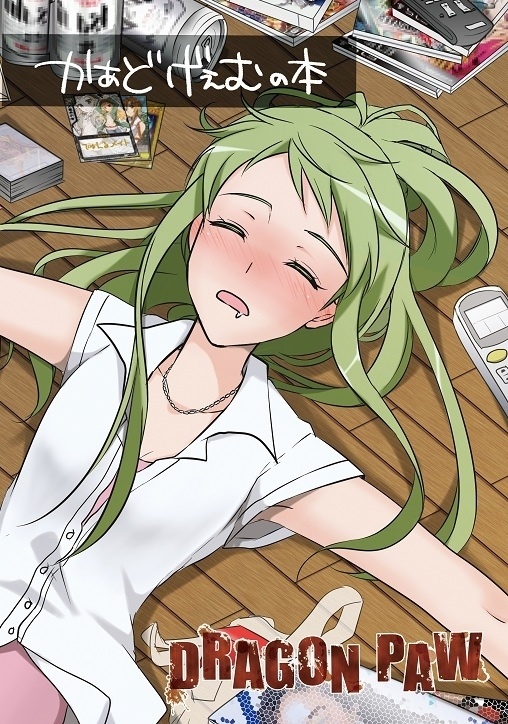 かぁどげぇむの本【2013年発行】