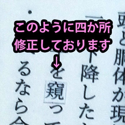 ゲームブック「竜姫のために 光る木の実と灯台守」