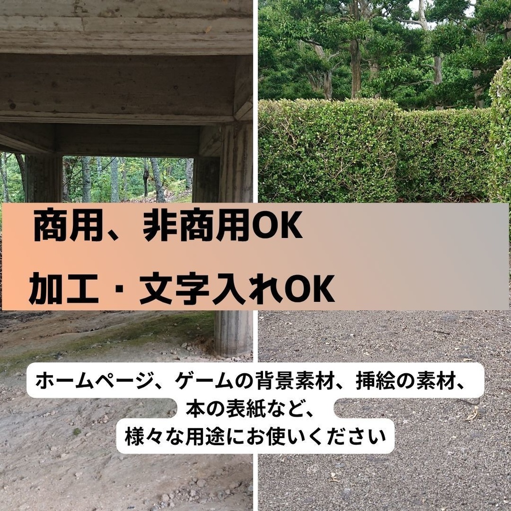 写真素材展~非日常の森~