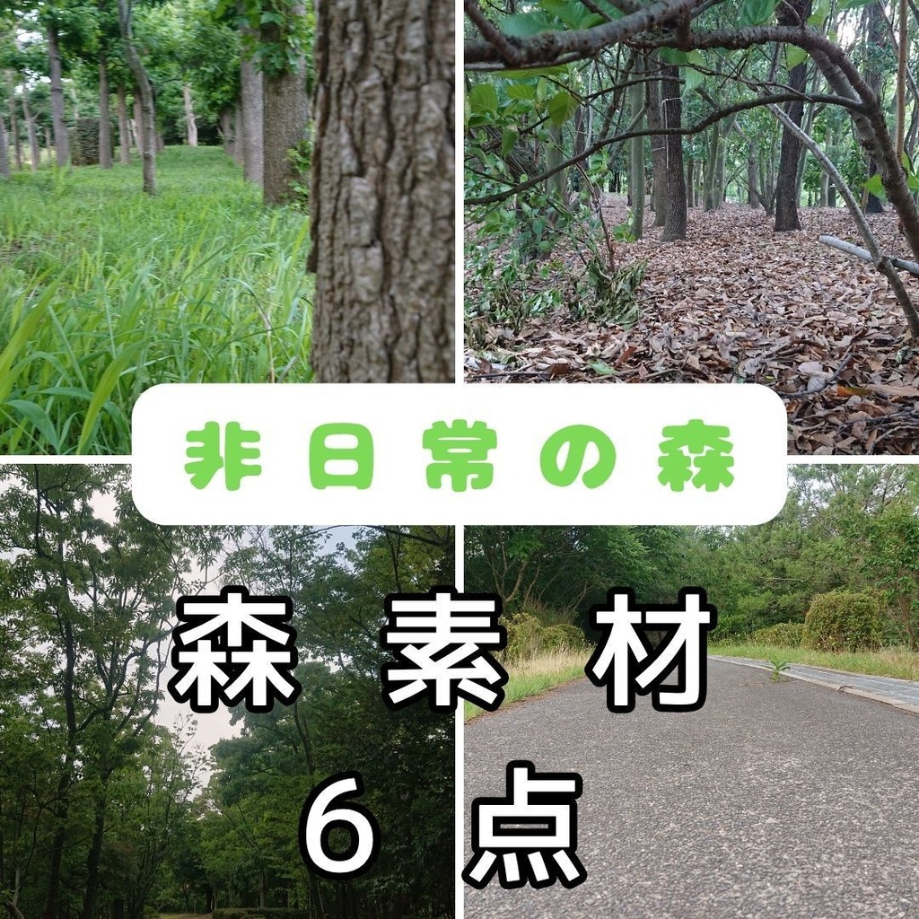 写真素材展～非日常の森～