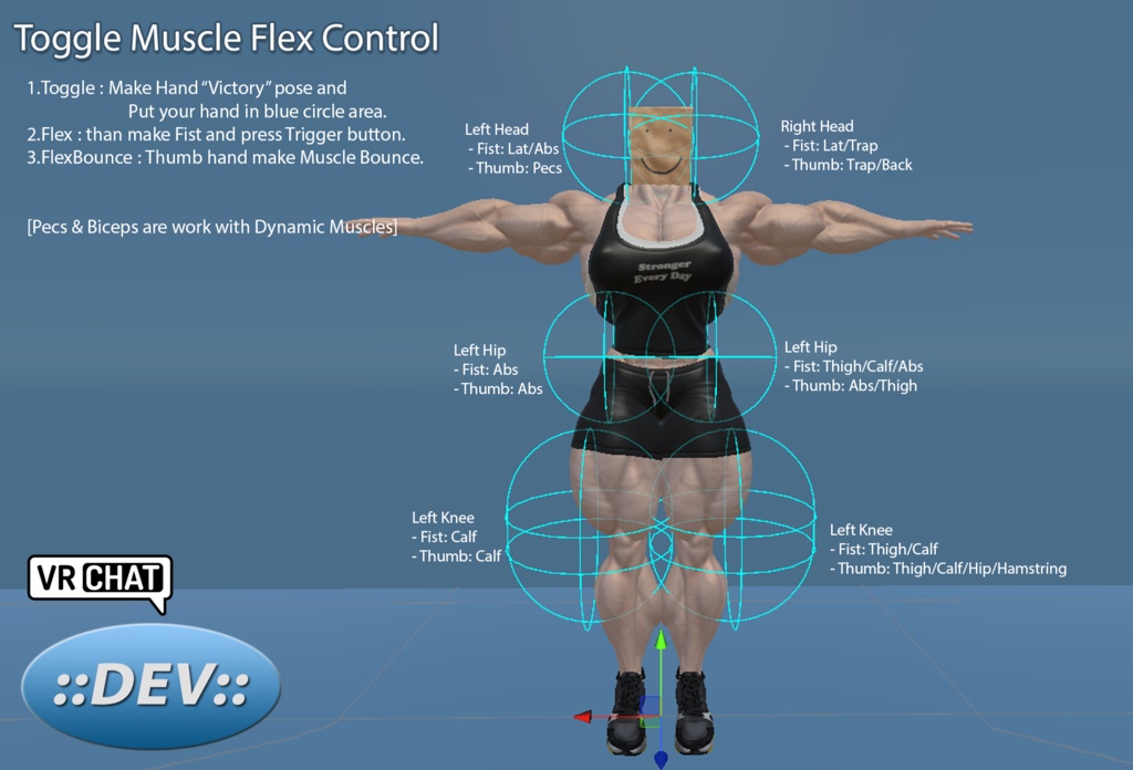 devMuscle XG Muscle Body Bundle(Pecs+Breast)