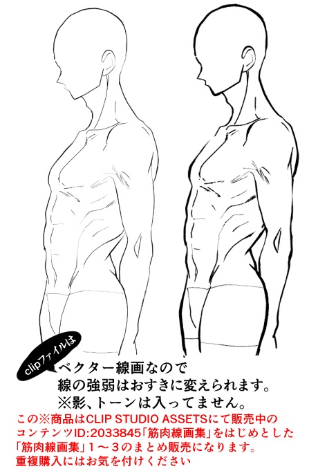 【商用改変可】筋肉線画集1〜3【ベクター】